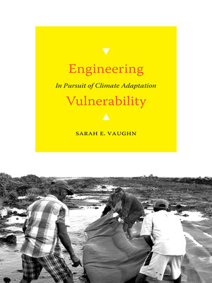 cover image of Engineering Vulnerability
